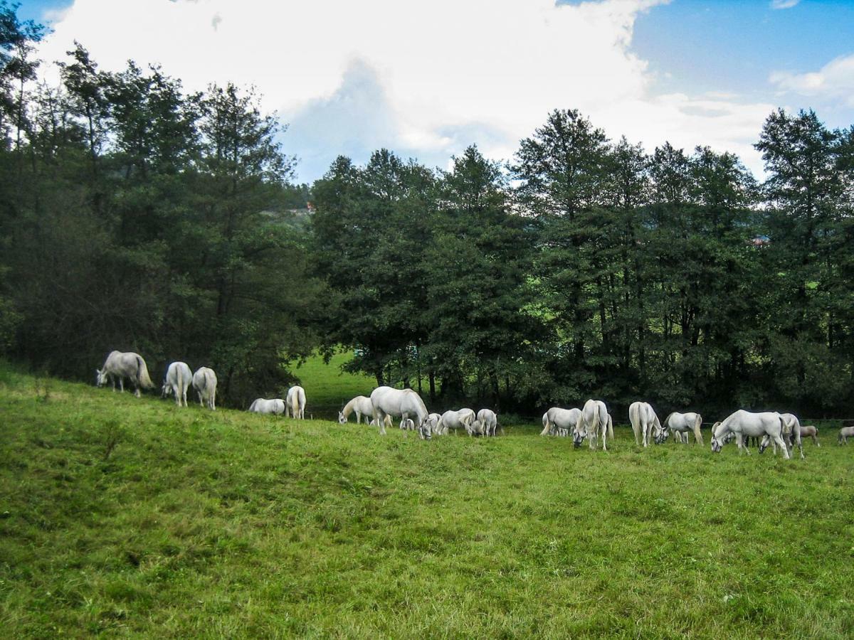 Landhaus Piber Piber